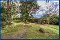 Property photo of 17 Forestry Road Springbrook QLD 4213
