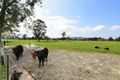 Property photo of LOT 404 Princes Highway Jaspers Brush NSW 2535