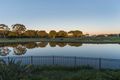 Property photo of 7517 Springfield Drive Hope Island QLD 4212