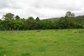 Property photo of 576 Image Flat Road Kureelpa QLD 4560