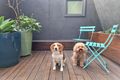 Property photo of 601/9 Bligh Place Melbourne VIC 3000