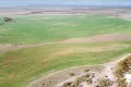 Property photo of 109 Birdseye Highway Cowell SA 5602