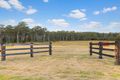 Property photo of 49 Elvin Circuit Millfield NSW 2325