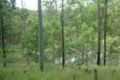 Property photo of 160 Forest Glen Road Limeburners Creek NSW 2324