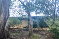 Property photo of 40 Robertson Crescent Boronia VIC 3155