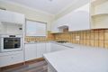 Property photo of 13 Norland Street Cheltenham VIC 3192