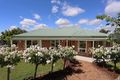 Property photo of 2 Campbell-Smith Court Newnham TAS 7248