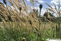 Property photo of 13 Western Barred Place Longwarry VIC 3816