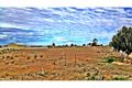 Property photo of 6 Adelong Court Nichols Point VIC 3501
