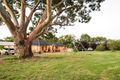 Property photo of 4515 Olympic Highway Young NSW 2594