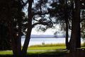 Property photo of 6/134 Tuggerah Parade Long Jetty NSW 2261