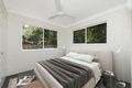 Property photo of 8 Hamish Avenue Rasmussen QLD 4815