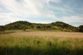 Property photo of 177 Post Office Road Mount Schank SA 5291