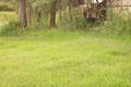 Property photo of 13 Hyles Street Chittaway Point NSW 2261