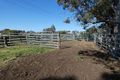 Property photo of 18 Kleinitz Road Newmerella VIC 3886