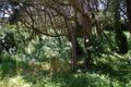 Property photo of 95 Canterbury Jetty Road Rye VIC 3941