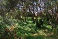 Property photo of 95 Canterbury Jetty Road Rye VIC 3941