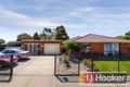 Property photo of 49 Horizon Boulevard Hampton Park VIC 3976