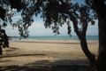 Property photo of 38 Adamson Street Haliday Bay QLD 4740