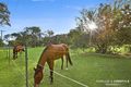 Property photo of 41 Christen Drive Beachmere QLD 4510
