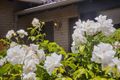 Property photo of 11/48 Boronia Avenue Nedlands WA 6009