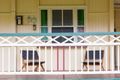 Property photo of 43 Fernvale Road Brassall QLD 4305
