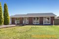 Property photo of 19 Doncaster Avenue Newton SA 5074