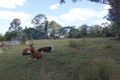 Property photo of 217 Eel Creek Road Southside QLD 4570