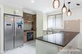 Property photo of 11 Grampian Avenue Minto NSW 2566