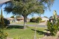 Property photo of 9 Irene Street Cobram VIC 3644