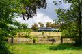 Property photo of 62 Potts Road Taradale VIC 3447
