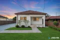 Property photo of 29 Tenella Street Canley Heights NSW 2166