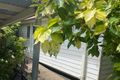 Property photo of 1 Maple Close Stapylton QLD 4207