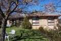 Property photo of 46 Clara Street Tumbarumba NSW 2653