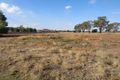 Property photo of 31 Kerford Street Rochester VIC 3561