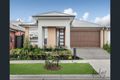 Property photo of 30 Eremaea Road Craigieburn VIC 3064