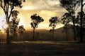 Property photo of 2 Spring Mountain Drive New Beith QLD 4124