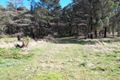 Property photo of 12 Parkland Road Kinglake VIC 3763
