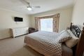 Property photo of 24 Cedar Avenue Naracoorte SA 5271