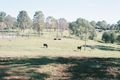 Property photo of 25-39 Arthur Road North Maclean QLD 4280