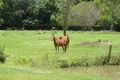 Property photo of 172 Cobaki Road Cobaki NSW 2486