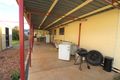 Property photo of 10 Bertoli Street Boort VIC 3537