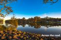 Property photo of 53 Wolseley Avenue Tacoma NSW 2259