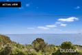 Property photo of 137 Beach Road Sandringham VIC 3191