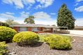 Property photo of 183 Kelly Road Modbury North SA 5092