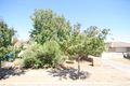 Property photo of 6 Comet Avenue Netley SA 5037