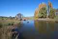 Property photo of 159 Werralong Road Dalgety NSW 2628