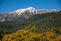 Property photo of 6 Mountain Rise Merrijig VIC 3723