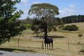 Property photo of 613 Red Hills Road Marulan NSW 2579