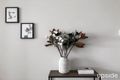 Property photo of 318/43 Currong Street North Braddon ACT 2612